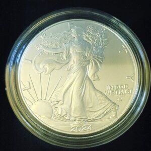 2024 American Eagle 24EG One Ounce Silver Uncirculated Coin OGP COA United State